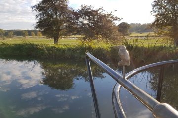 A view from a Boutique Narrowboat