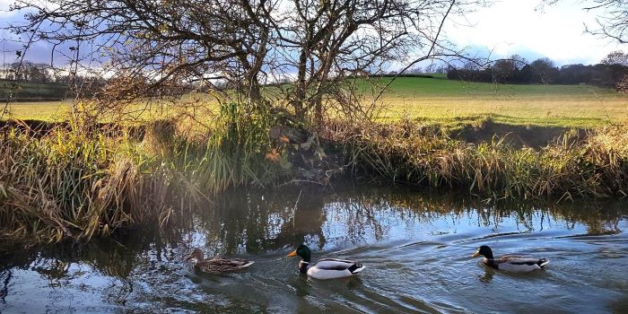 uk narrowboat break near Foxton Locks on a Boutique Narrowboat